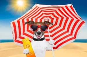 shutterstock_124869277